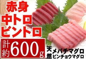 こだわりの天然メバチマグロビントロセット　メバチマグロ中トロ赤身各1柵　ビントロ1柵　mh010