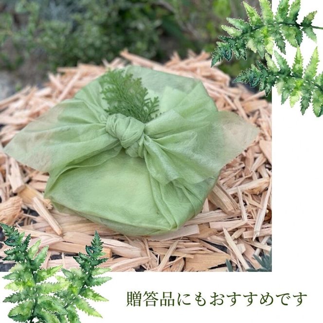 100％ナチュラルな バスソルト 50g×10本 500g 「Kyo no Hinoki」京都亀岡産ひのき 天然 アロマオイル使用《入浴剤 オーガニック》 ※着日指定不可