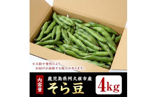 ＜先行予約受付中！2026年4月下旬以降順次発送予定＞訳あり！鹿児島県阿久根市産そら豆(4kg) 野菜 旬 春野菜 訳アリ 国産 鹿児島県産 阿久根市産 そら豆 ソラマメ おつまみ【黒坂青果】akn049-03