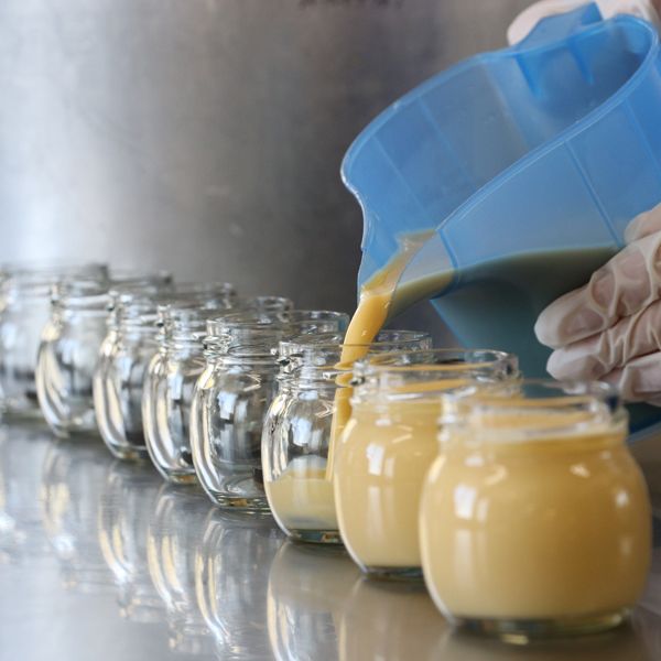 南アルプス山麓プリン（とれたて卵のプリン）８本セット　ぷりん プリン たまご 卵 鶏卵 お菓子 おやつ スイーツ 