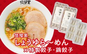 悠瑠里しょうゆら～めん4食セット×悠瑠里特製餃子2P×鶏餃子2P_M293-009