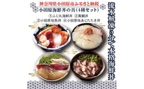 111-1620　【曽我の梅干し、小田原地あじ、小田原港直送地魚丼】小田原海鮮丼の具（4種セット）