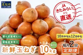☆L玉隔月定期便(10月・12月)☆JAきたみらいから直送する新鮮玉ねぎ 10kg(L)×2回 ( 野菜 定期便 玉葱 たまねぎ 期間限定 )【999-0006-2025】