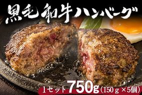 黒毛和牛ハンバーグ 150g×5個 《60日以内に出荷予定(土日祝除く)》絶品 ブランド牛 黒毛和種 有限会社トップルーフ---so_ftopkham_60d_21_16500_750g---