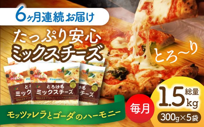 【6回定期便】 ミックスチーズセット　300g×5袋　6ヵ月お届け　合計9kg　チーズ　大容量　個包装　愛西市／株式会社ヨシダコーポレーション[AEAA004]