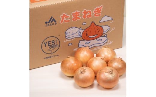 北海道安心ラベル「Yes!clean」認証！北見市常呂の玉ねぎ 20kg ( たまねぎ 野菜 期間限定 )【009-0001-2024】