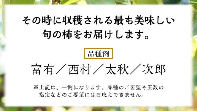 品種おまかせ 柿 約 3kg（ 茨城県共通返礼品：かすみがうら市 ） フルーツ かき カキ 果物 旬 新鮮 期間限定 甘い 国産 [EC005us]