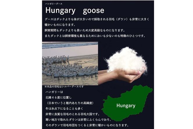 ＜京都金桝＞２層キルト 羽毛掛ふとん ダブルロングサイズ（ハンガリーシルバーグースダウン93％）ジラーフ《羽毛布団 冬 暖 睡眠 軽量》◇