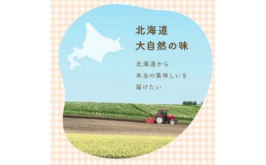 《7営業日以内に発送》大地の恵み北海道やさしいたまねぎスープ 8袋×1箱 ( 玉ねぎ 簡単 粉末 スープ )【125-0046】