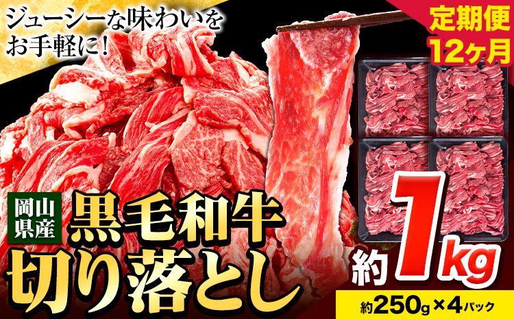牛肉 肉 黒毛和牛 切り落とし 訳あり 大容量 小分け[定期便] 1kg 1パック 250g 12回 [お申込月の翌月より発送]岡山県産 岡山県 笠岡市 お肉 にく カレー 牛丼 切り落し 切落し---kasaoka_zsy_9_1_12tei---