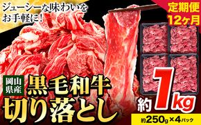 牛肉 肉 黒毛和牛 切り落とし 訳あり 大容量 小分け【定期便】 1kg 1パック 250g 12回 《お申込月の翌月より発送》岡山県産 岡山県 笠岡市 お肉 にく カレー 牛丼 切り落し 切落し---223_f741tei_23_120000_12kg---