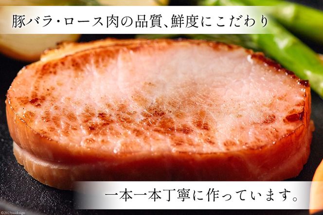 ハム 宴の彩り 2種 詰め合わせ 食べ比べ 計1.22kg [日本ハムマーケティング 宮崎県 日向市 452060179] ニッポンハム はむ 豚 肉 ロースハム ステーキ ギフト 真空 冷蔵