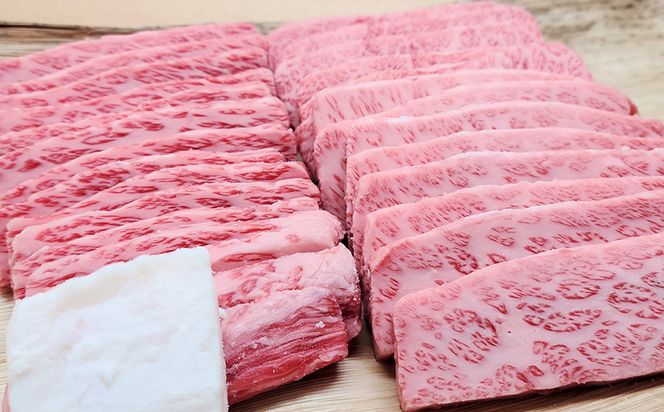 【総本家　肉のあさの】５等級近江牛焼肉用（肩ロース・バラ）【500ｇ】【AE12SM】