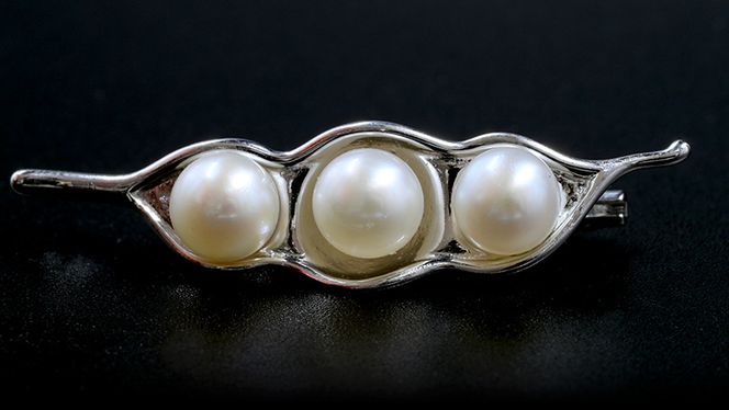 【 数量限定 】 シルバー ブローチ アクセサリー ジュエリー レディース パール 個性的 記念 ギフト 贈り物 [BU007us]