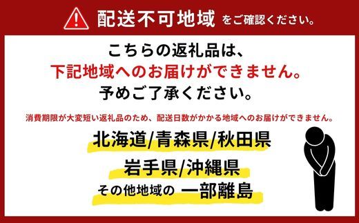 【柴山産 活セコガニ 6匹 1匹約120g】11月中旬以降配送予定 ふるさと納税 兵庫県 香美町 香住 柴山 カニ 松葉ガニ せいこがに メスガニ 親ガニ ヤマヨシ 27000円 37-01