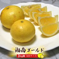 91-2938　【先行予約】湘南ゴールド　３kg箱（MIXサイズ）＜出荷開始：2025年3月1日~3月31日＞【 フルーツ 神奈川県 小田原市 】