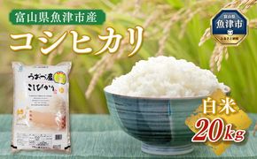 【令和7年度米】富山県 うおづ産米「コシヒカリ」20kg（5kg×4袋）（精米）｜こしひかり こめ コメ お米 おこめ 白米 精米 雪解け水 香り うまみ あまみ 冷めても 美味しい おにぎり お弁当 高品質 魚津市 ※北海道・沖縄・離島への配送不可 ※2025年10月上旬～2026年8月下旬頃に順次発送予定
