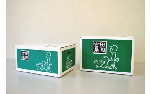 訳あり 河内晩柑10kg（家庭用） ＜柑橘 希少 果物 国産 フルーツ みかん 蜜柑 訳あり 家庭用 和製 グレープフルーツ ブランド 愛媛 果実 ビタミン ＞ ※2025年4月上旬～8月中旬頃に順次発送予定