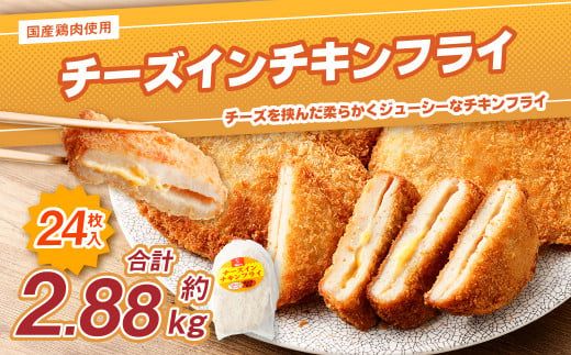 ＜国産種鶏 チーズインチキンフライ 24枚入り＞2か月以内に順次出荷【c1156_na】