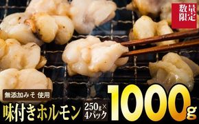 【数量限定】1,000g 味付ホルモン（定期便6回）H-263