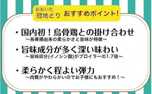 鶏好きの大分が生んだ地鶏！おおいた冠地どり1羽食べ尽くしセット_1796R