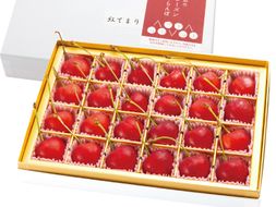 フローズンさくらんぼ「紅てまり 特撰」2L玉24粒化粧箱入　A-0729r