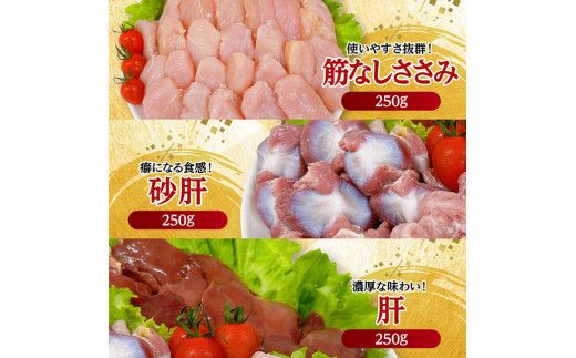 宮崎県産 若鶏 まるごと 3.05kg 【 もも むね ささみ 砂肝 手羽先 手羽元 小肉 鶏肉 とり肉 セット ごはん 料理 】[C11623]
