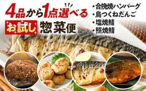 お試し  4品から1点選べる惣菜便 合挽焼ハンバーグ8個 照焼鯖6枚 塩焼鯖6枚 鳥つくねだんご（はかた一番どり入り）600g 調理済 惣菜 総菜 レンチン 簡単調理 レンジで簡単 鯖 さば ハンバーグ つくね 冷凍 お弁当 おかず つまみ