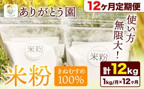 【12ヶ月定期便】米粉 きぬむすめ 1kg ありがとう園《お申込み月の翌月から出荷開始》岡山県 矢掛町 米 コメ 一等米 きぬむすめ 100％ 料理用 定期便---osy_aekktei_23_48500_mo12num_1---