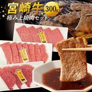 宮崎牛極み上焼肉セット 合計 300g　N0140-YB083