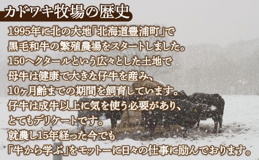 北海道 黒毛和牛 カドワキ牛 サーロイン ステーキ 3枚 200～220g/枚【冷凍】 TYUAE006