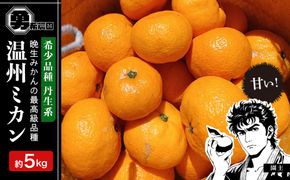 先行予約希少品種 丹生系 温州みかん 5kg  秀・優混合 サイズ混合 2026年2月中旬頃発送 	EF07