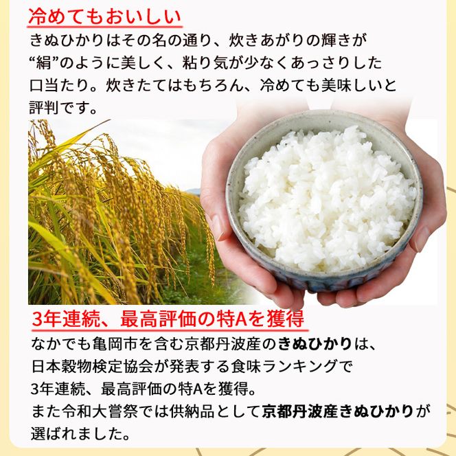 定期便 無洗米 5kg 6ヶ月 京都丹波産 キヌヒカリ 6回定期便 5kg ×6回 計30kg ※受注精米《米 白米 きぬひかり 5kg 6回 計30キロ ふるさと納税 無洗米 大嘗祭供納品種》 ※北海道・沖縄・その他離島への配送不可