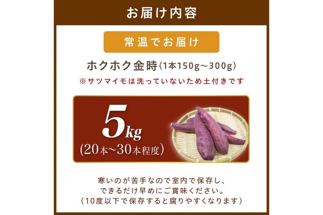 さつまいもオブザイヤー受賞のサツマイモ農家が作る「ホクホク金時」5kg（20～30本程度（150〜300g／本））　TF00004