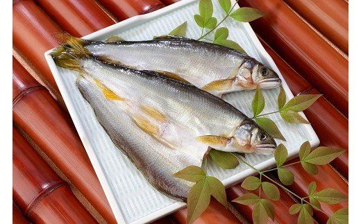 324 鮎開き 西京漬（3尾入り）(A324-2)