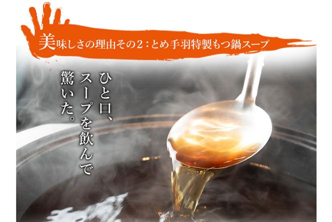 もつ鍋 【九州名物とめ手羽】 博多もつ鍋 セット 5~6人前 九州しょうゆ味 モツ鍋 国産牛 / フェリックス / 福岡県 筑紫野市 [21760208]