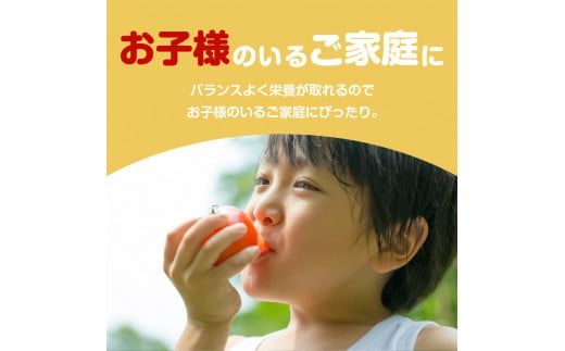 【JA直売所セレクト】12ヵ月定期便！旬鮮野菜・果物セット（12～14品目）　K072-T02