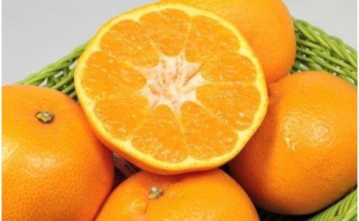 ［厳選・濃厚］紀州有田産のはるみ約5kg(Lサイズ) ★2026年1月下旬頃より順次出発送［TM28w］ BZ92119