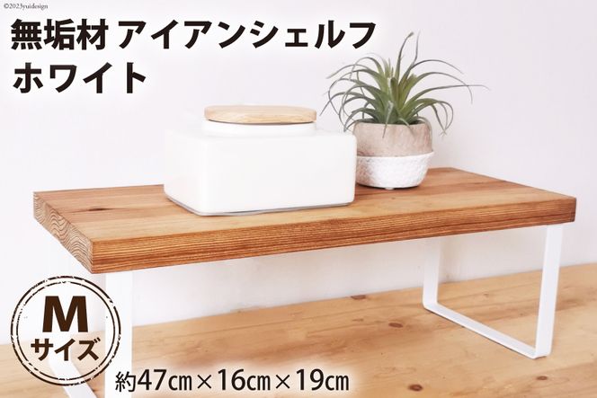 y{szCނƃACÃVFt zCg MTCY 47cm i [V쏊 { s 20940916] Ƌ  u rO  A G I [