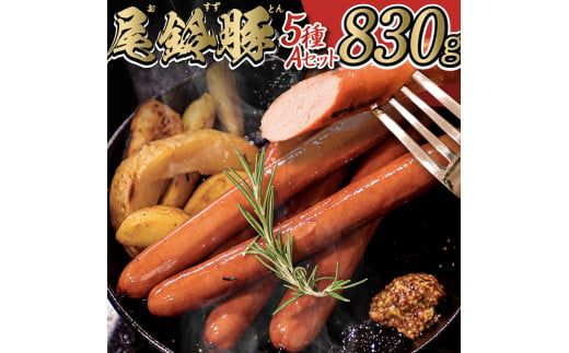 [PREMIUM PORK]尾鈴豚ハム・ソーセージ 詰め合わせ 5種 Aセット[ 数量限定 肉 豚肉 ぶた 豚 国産 九州産 宮崎県産 ウインナ― ハム ソーセージ 加工品 ] [E9201]