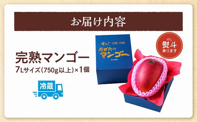 【期間・数量限定】おがたのマンゴー　完熟宮崎マンゴー　7Lサイズ　（750g以上）×1個_M161-013
