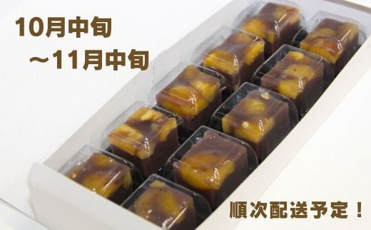 0B3-19 栗むし羊かん（10個入）【冷凍】