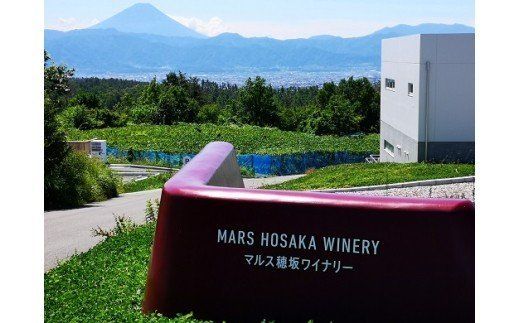 コーヒー 豆 100g×2種&オリジナル缶セット [本坊酒造 マルス穂坂ワイナリー 山梨県 韮崎市 20743356] 珈琲 食品 缶