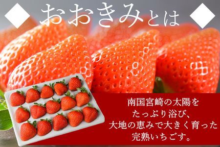 ＜高級いちご「おおきみ」（15粒入り×1パック約380g以上）＞2025年1月下旬～4月末迄に順次出荷【a0285_sn】