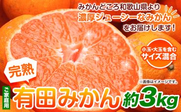 ＜先行予約＞家庭用 完熟 有田 みかん 3kg+90g（傷み補償分）【わけあり・訳あり】【光センサー選果】 池田鹿蔵農園@日高町（池田農園株式会社）《11月中旬-1月末頃出荷》和歌山県 日高町【配送不可地域あり】みかん 有田みかん---wsh_idn36_11c1m_24_7000_3kg---