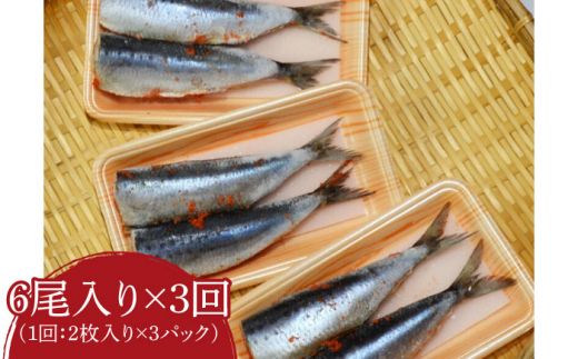 【全3回定期便】ピリ辛 いわし明太6尾《築上町》【株式会社マル五】[ABCJ075]