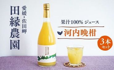 【愛媛県産】田縁農園の無添加100% 河内晩柑ジュース（720ml×3本） ストレート果汁100％