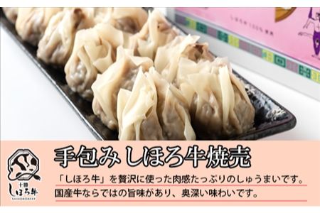 北海道 しほろ牛 焼売 2箱 セット 計24個入 牛肉 国産牛 肉 ビーフ しゅうまい シュウマイ 飲茶 点心 中華 簡単調理 中華料理 冷凍 おかず お弁当 惣菜 おつまみ グルメ 冷凍 お取り寄せ 送料無料 十勝 士幌町【L31】