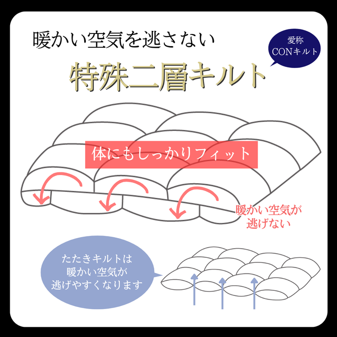 ＜京都金桝＞羽毛布団 ダブル 特殊2層キルト(ポーランド産マザーホワイトグースダウン95％ ホワイトコウダ・たっぷり1.6kgふっくら仕上げ)ロジック≪羽毛ふとん 掛け布団 国内再洗浄 DP450 新生活≫