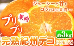 【先行予約】果肉プリプリ 完熟 紀州デコ ( 不知火 )  約 3kg 果肉 デコ 株式会社魚鶴《2月下旬-3月中旬頃よりに発送予定(土日祝除く)》紀州デコ 和歌山県 日高町 贈り物 ギフト 不知火 しらぬい デコポン でこぽん 柑橘 みかん ---wsh_uot121_2g3c_25_13000_3kg---